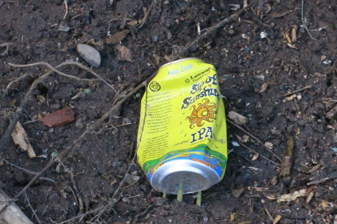 Lawson's Sip of Sunshine (But please, don't litter)