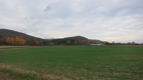 The hills of western Simsbury, from Tulmeadow Farm