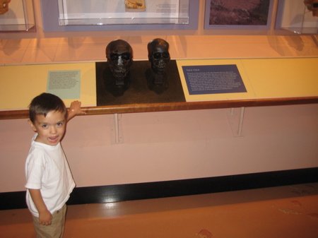 Damian at the Peabody in New Haven