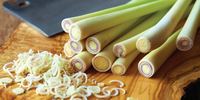 Here's what lemongrass looks like, for you people not married to a southeast Asian woman