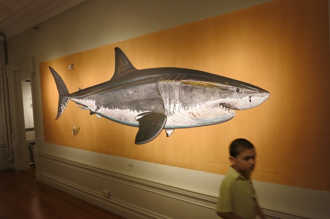Damian at the Alexey von Schlippe Art Gallery at UConn's Avery Point campus just before it closed in July 2016. Yes, it's on The List.