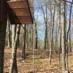 JT: Church Farm Preserve