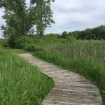 Major Michael Donnelly Land Preserve