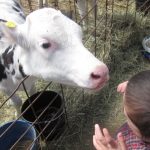 Hastings Farm