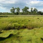 New Haven Land Trust Intro