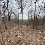 Deep River’s Town Trails Intro