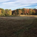 Branford Land Trust Trails