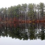 Branford’s Town Trails