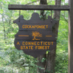 Cockaponset State Forest Intro