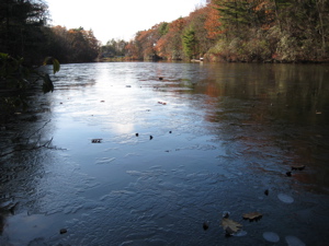 Case Pond, looking south, with just a wisp of ice coating