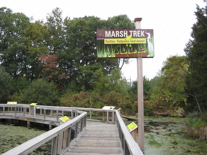The Marsh Trek 
