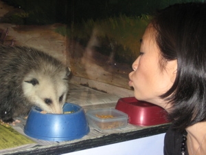 Hoang apparently loves opossums.