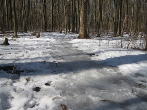 A patch of ice to navigate.
