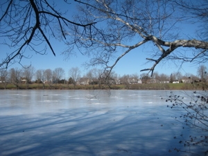 Ice fishing evidence