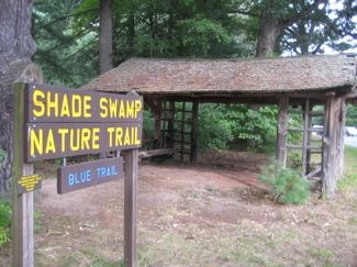 Shade Swamp Sanctuary