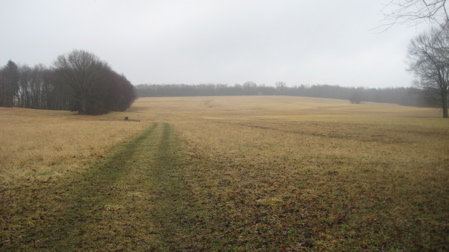 st3field