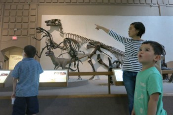 187. Yale Peabody Museum of Natural History