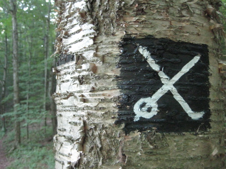 You don't technically have to hike this trail to be a Giant Master