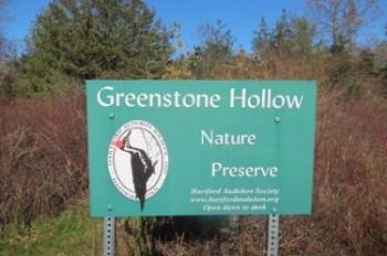 HAS: Greenstone Hollow Nature Preserve