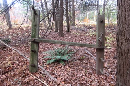 Abandoned swing near the abandoned trail