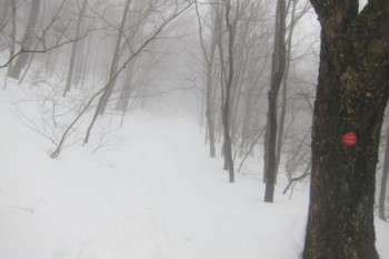 Slide Mountain (Winter)