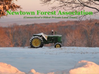 Newtown Forest Association Trails