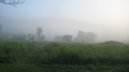 A summer dawn at the Macricostas Preserve along the Meeker Trail