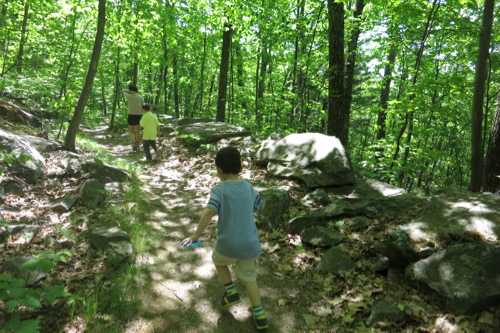 The first third of the hike (from the upper lot) is flat.