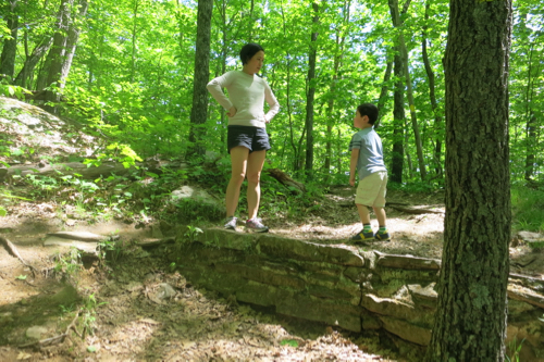 I'll assume Calvin said something like, "I climb up better than you, Mama."