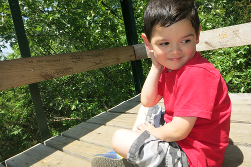 Calvin looking mischievous as his brother approached the viewing platform.