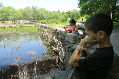 Then we looked at the falls and pond again.