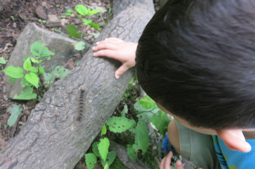 This Very Hungry Caterpillar made it all better though.