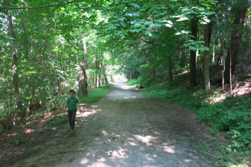 The child simply must walk as close to poison ivy as possible. It's a miracle he's never touched any. VIGILANCE!