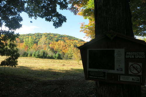 The trailhead