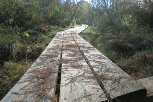 Giant boardwalk 