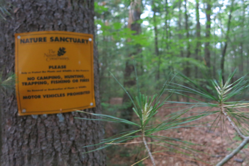 Taine Mountain is a Nature Conservancy property. Mostly. 