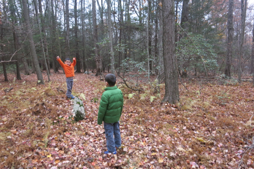 Yay for North Canton hiking!