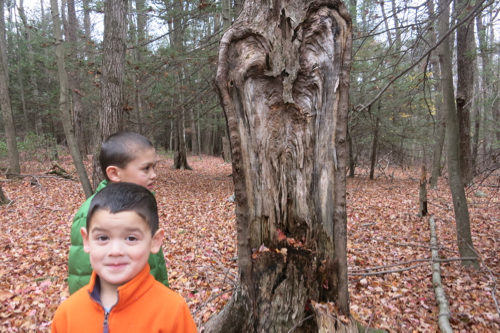 "Papa! I look like the tree!" 