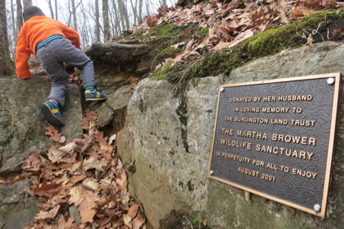 Martha Brower Sanctuary