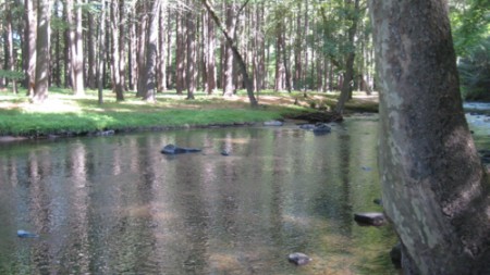 The Mill River along the Red Triangle Trail