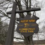Auerf Arm