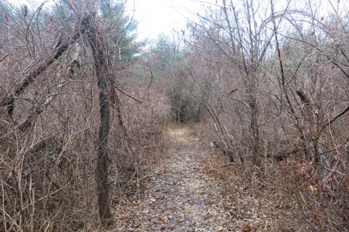 Clearing this trail must not be fun