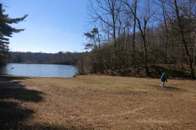 Oh look. A nice open space.  Nothing could go wrong!  There's only one tiny little slippery mud patch...