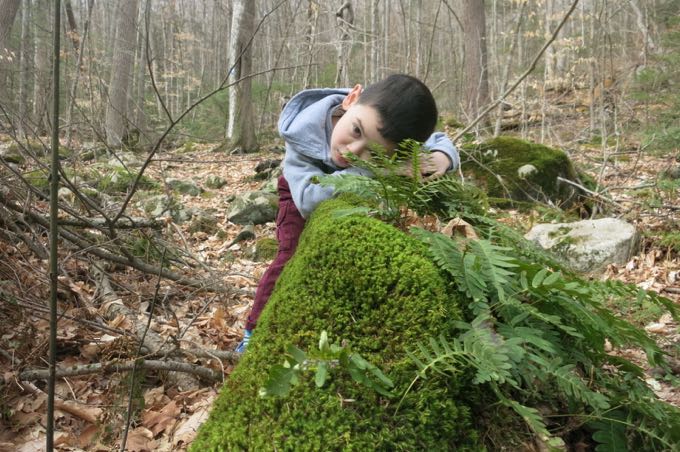 Resting on the soft moss