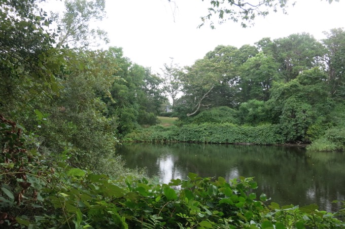 The pond Damian and I circumnavigated wasn't as lovely.