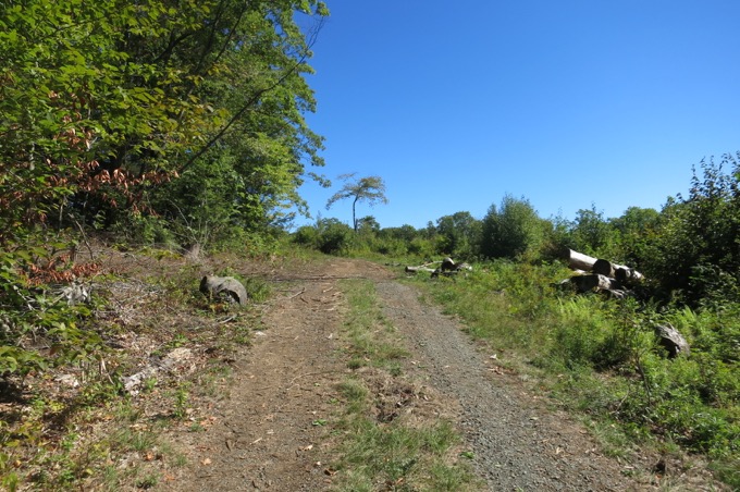 The "new" cleared road up the hill