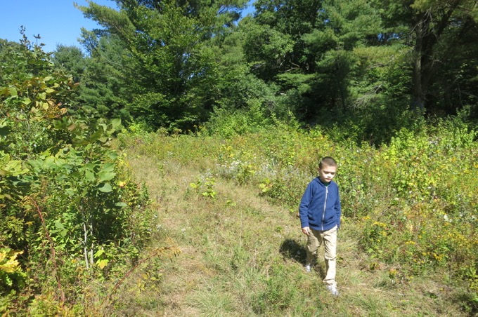 The last trail/road near the summit