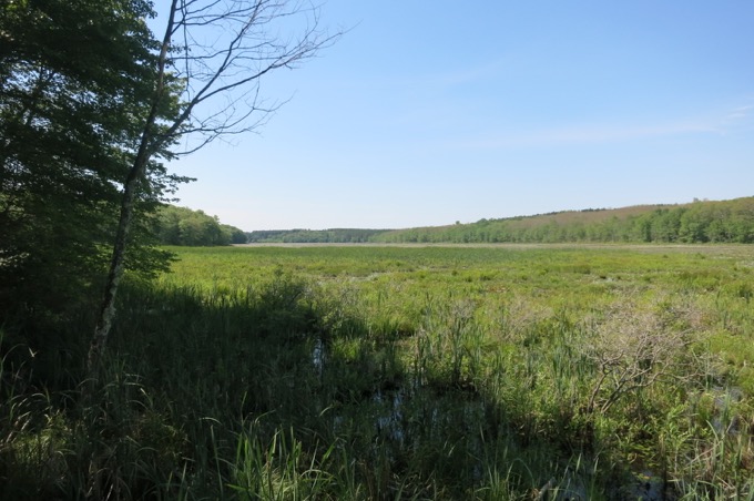 Pine Acres Pond