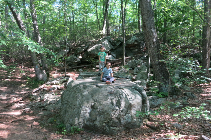 On a big rock