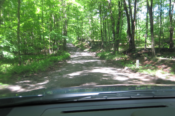 Driving the backroads of Ashford is exactly how you think it is